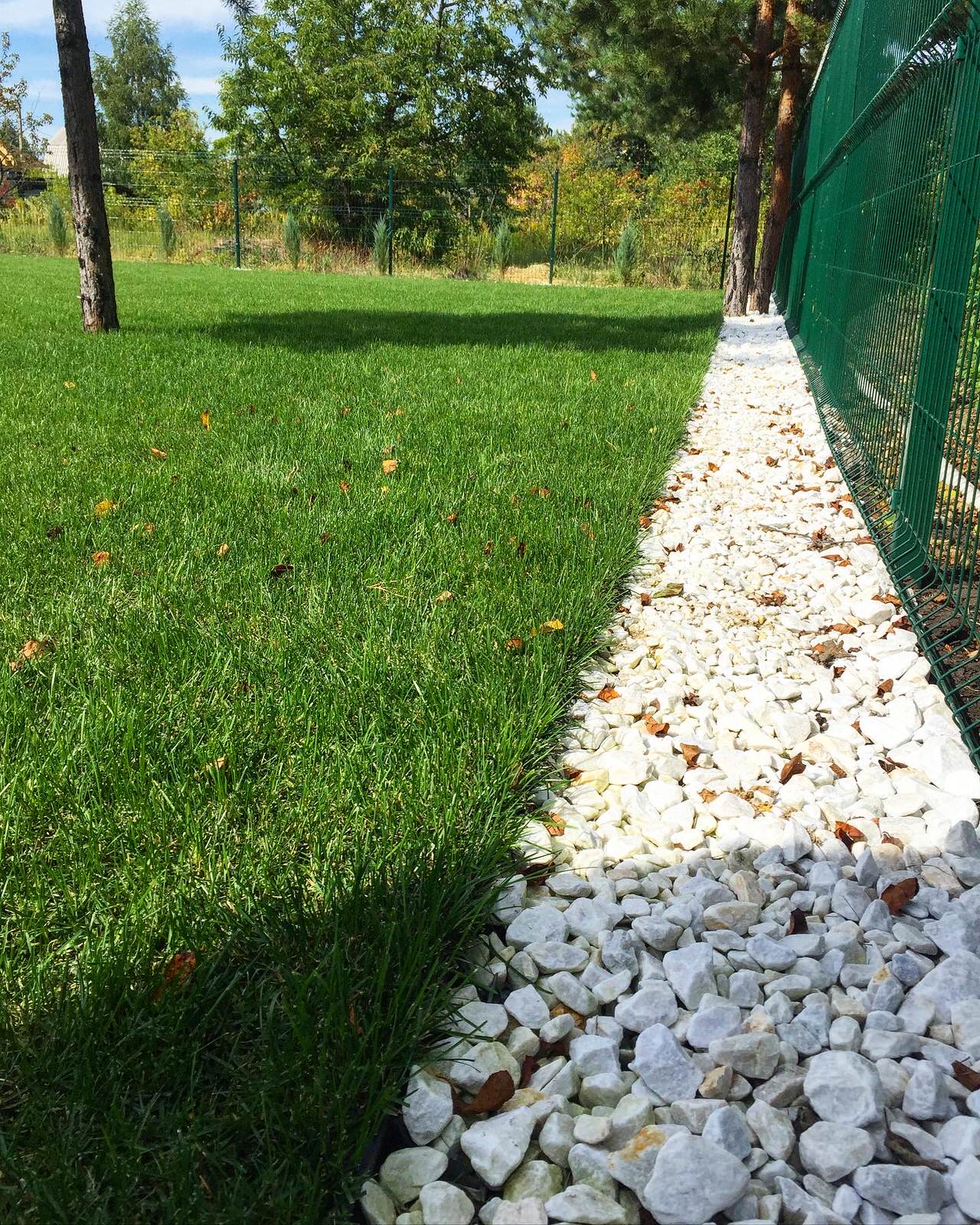 Рулонный газон 6 соток