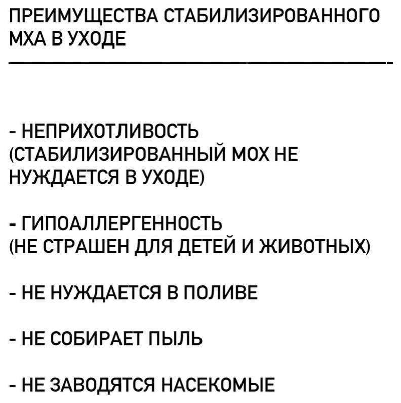 Обложка проекта: ☘Очаровательный декор из стабилизированного мха! От маленькой декоративной пан