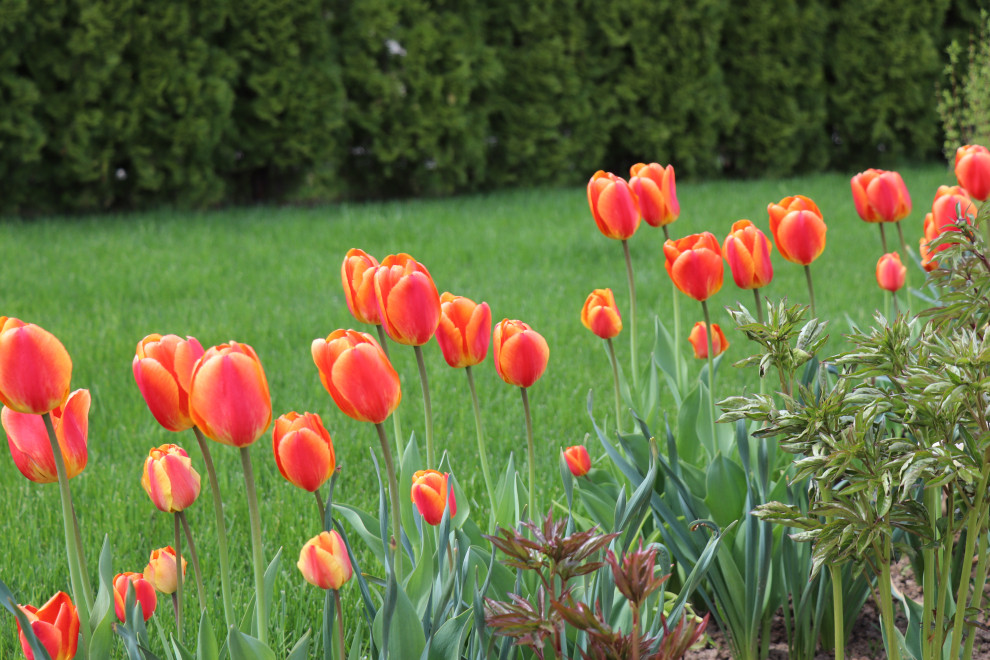 Весна 2020 Сосновые берега