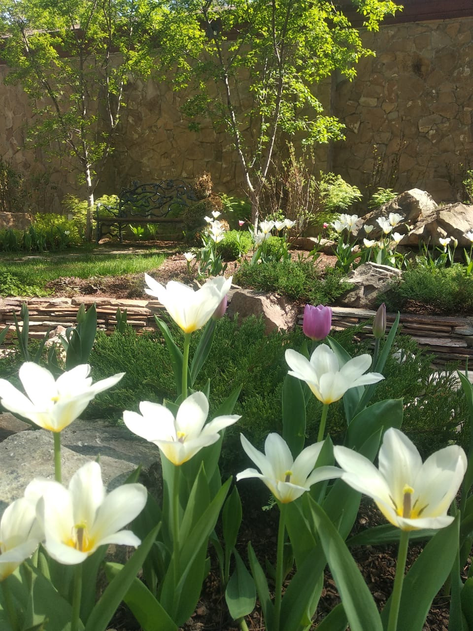 Просторный сад