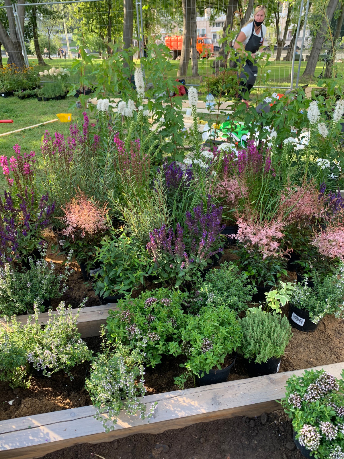 Выстовочный сад Сады И Люди