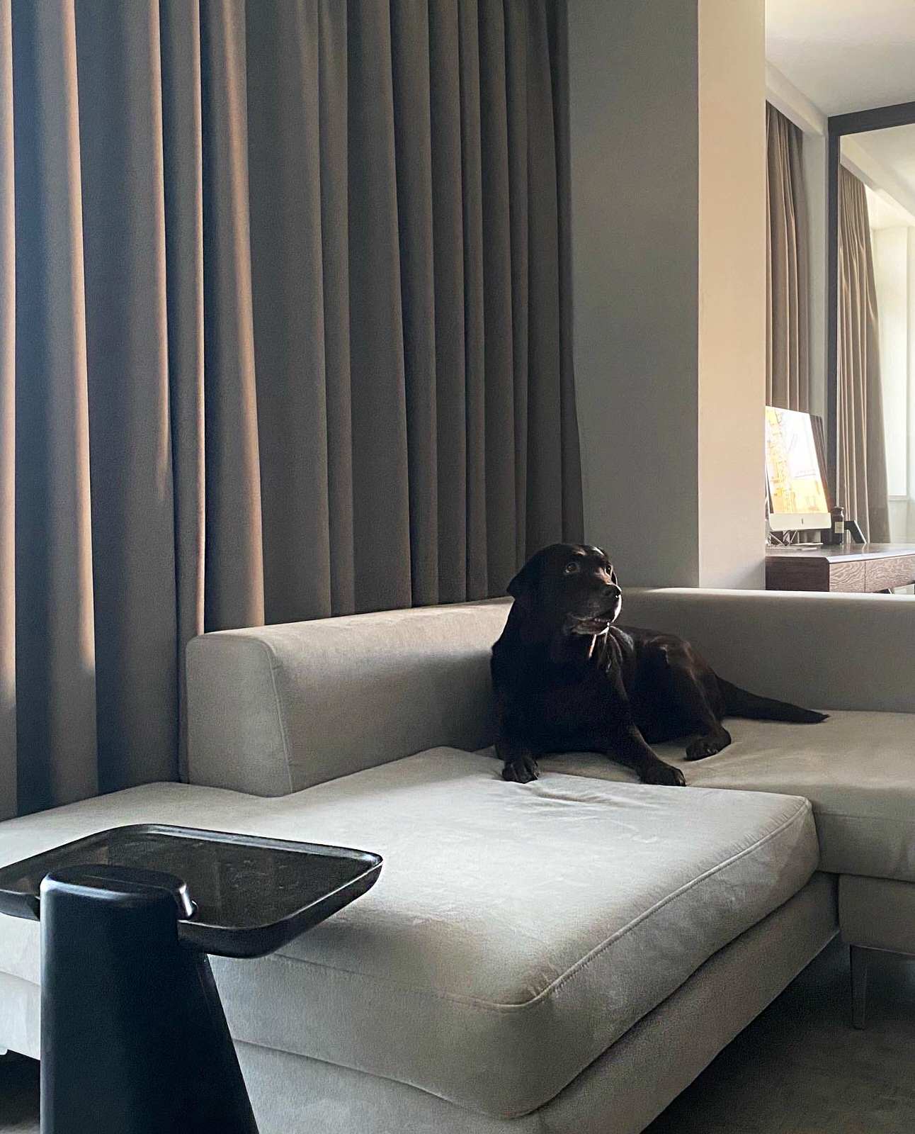 Project _ T&M _ 2020