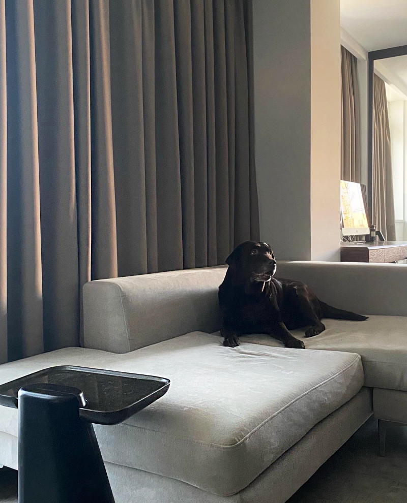 Project _ T&M _ 2020