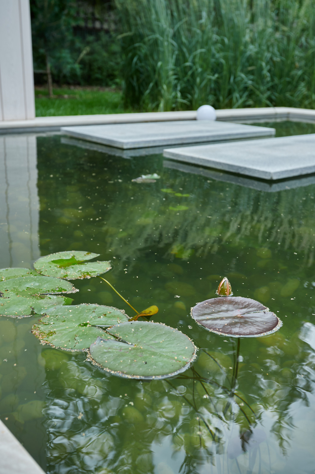 Проект "Современный сад"