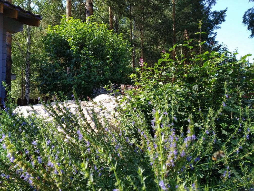 У леса на опушке