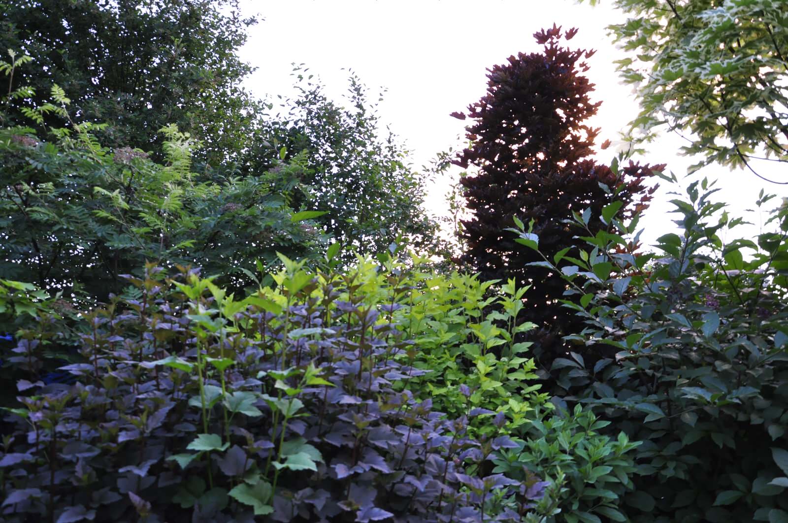 д. Громково - Уход за садом - 100% качество