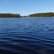 Александр Павлов