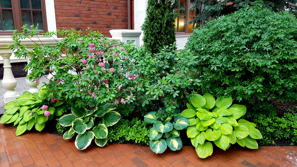 Сад с аурой