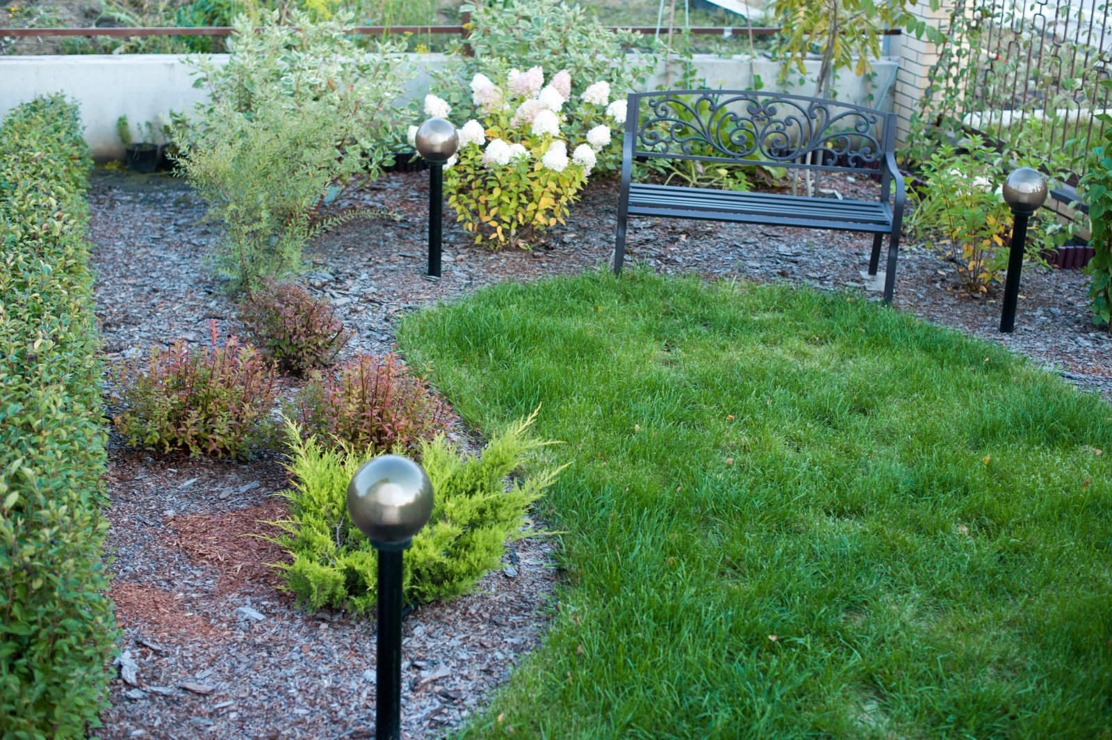 Сад На мажорной ноте