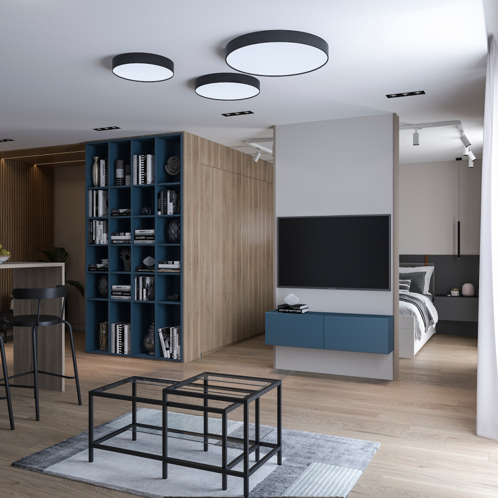 Студия холостяка