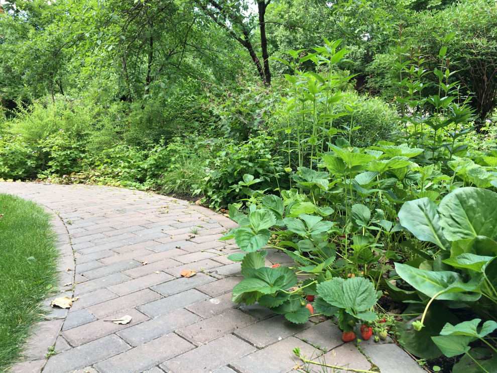 Белкин сад. Лето 2019