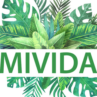 MIVIDA MIVIDA