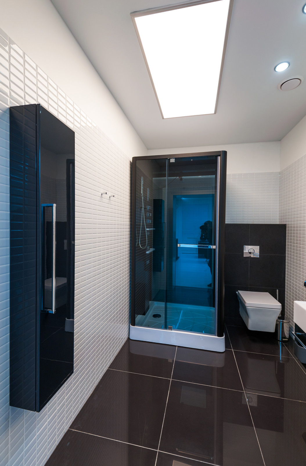 Сан узел в современном стиле