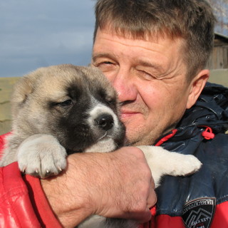 Андрей Мещанинов
