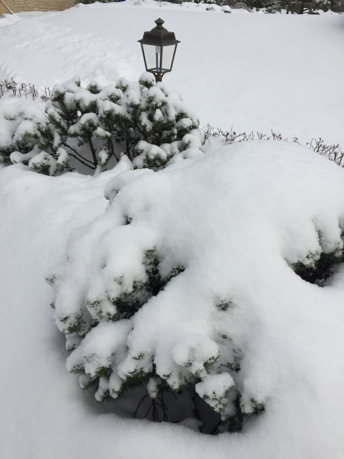 Обложка проекта: Зимние объекты