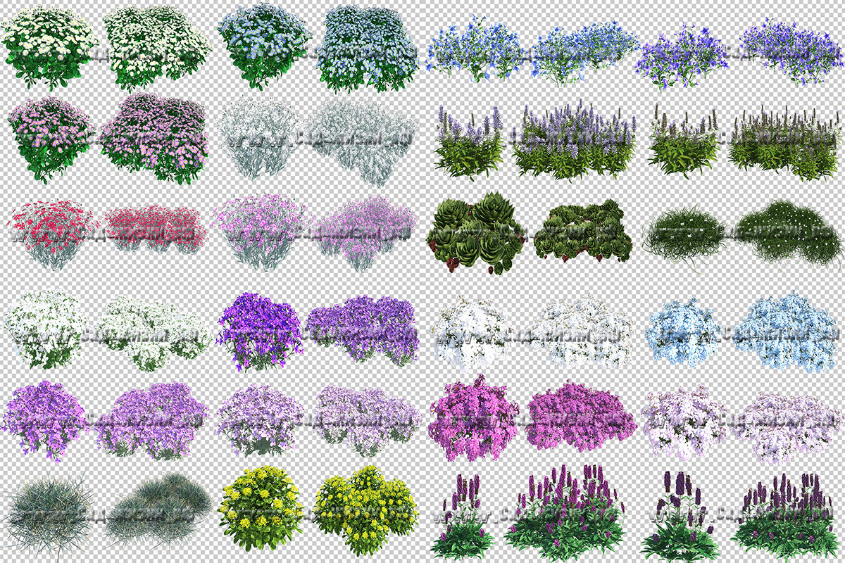 Обложка проекта: Быстрый способ создания красивой визуализации цветника в Photoshop