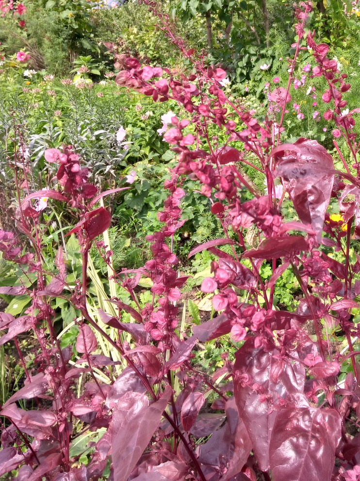 Вечно вдохновляющая природа