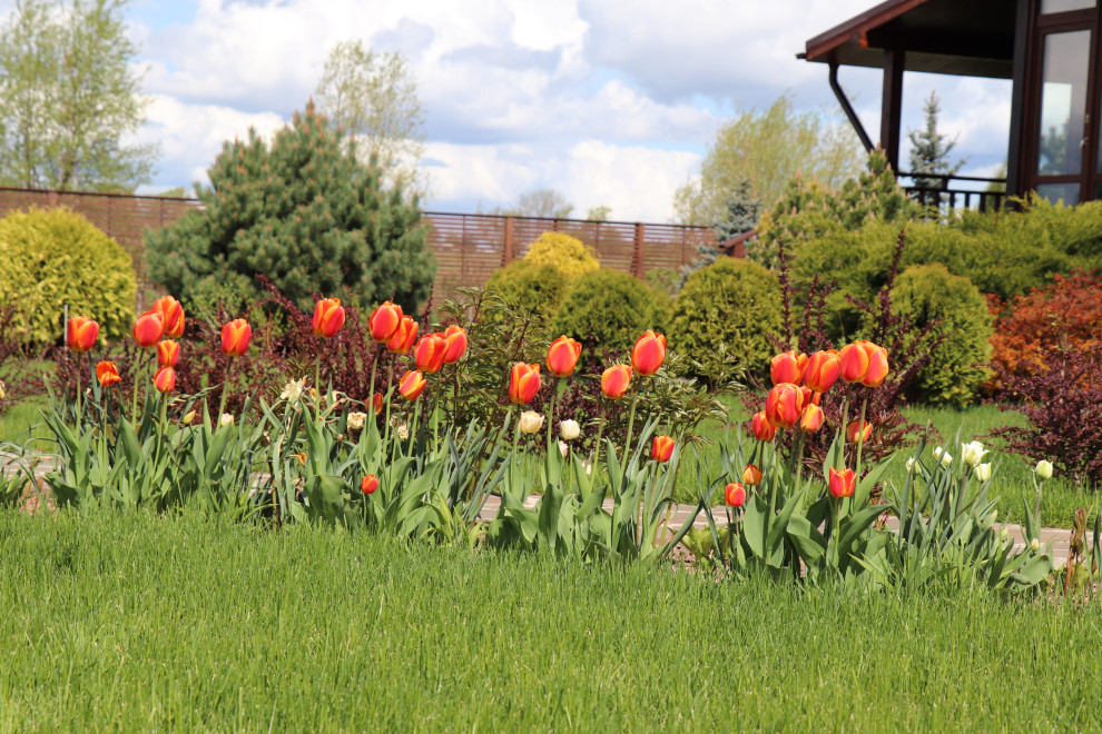 Весна 2020 Сосновые берега