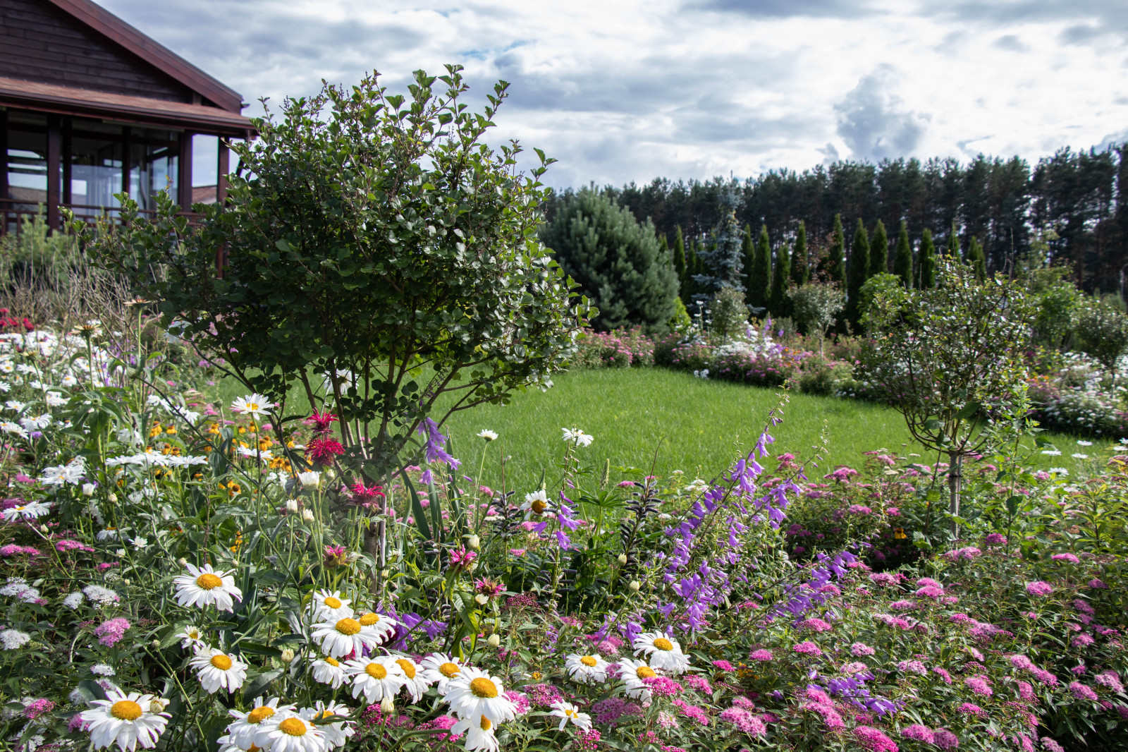 Сосновые берега