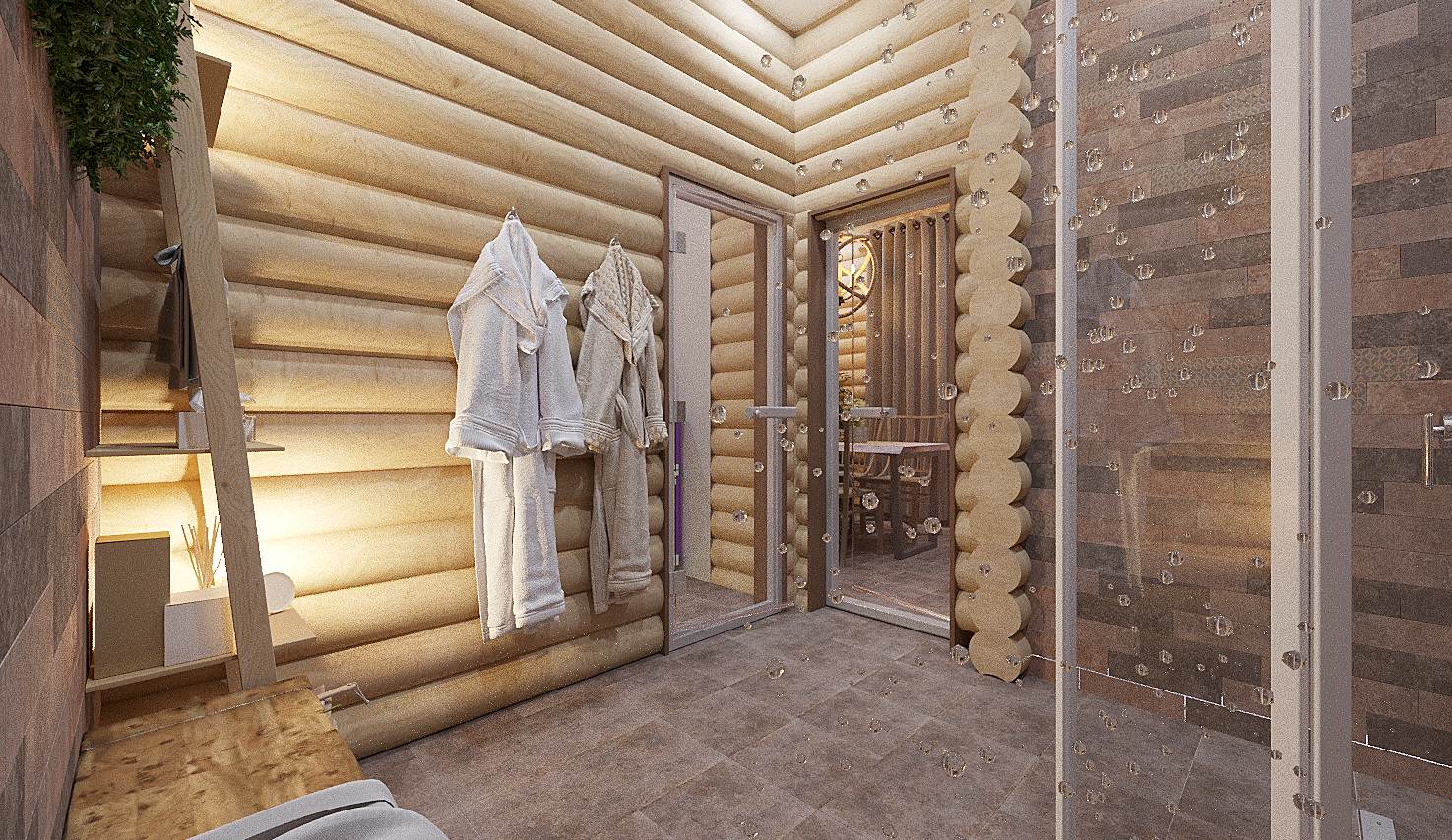 Проект Бани