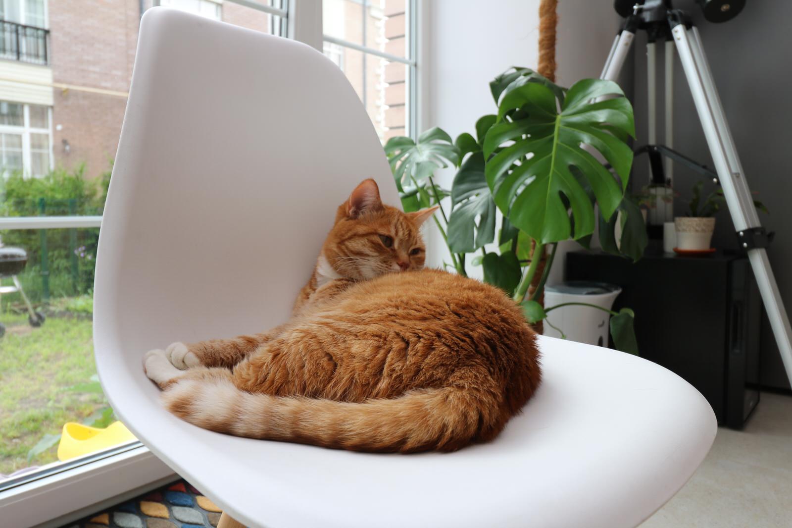 Ремонт таунхауса в поселке Орлов, ЖК «Орлов», 150 м.кв.