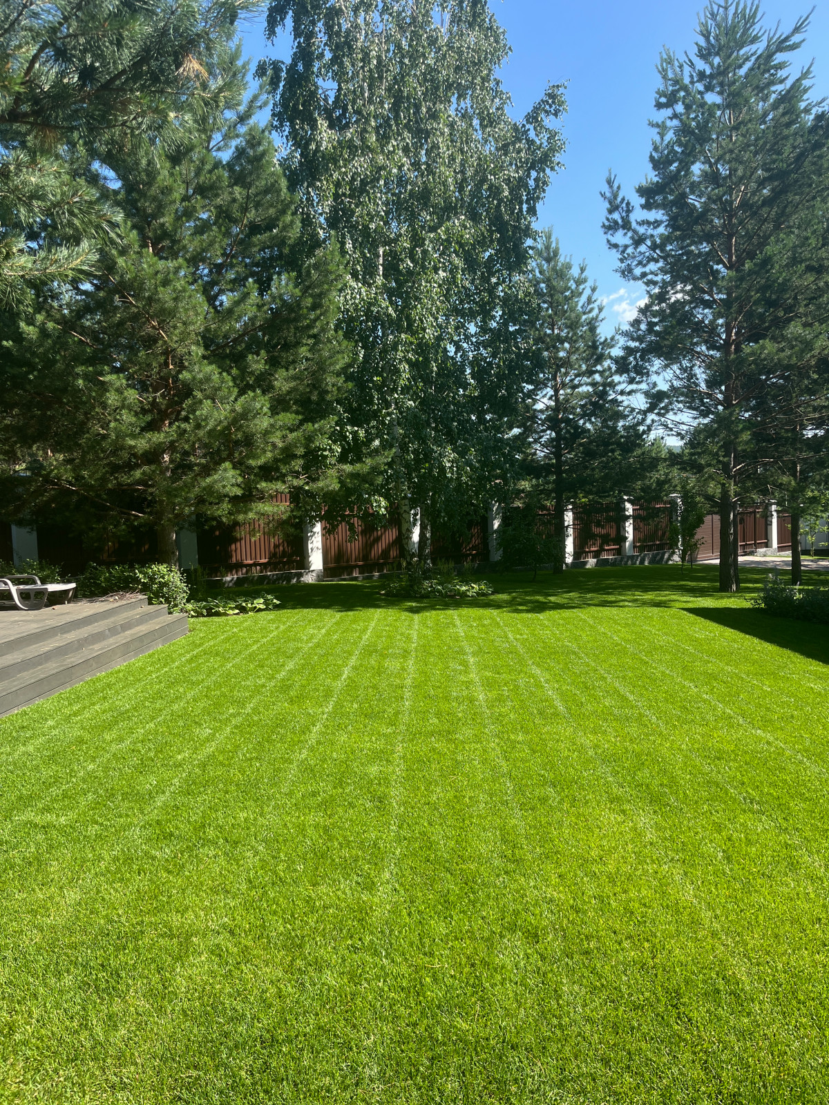 Рулонный газон Красноярск