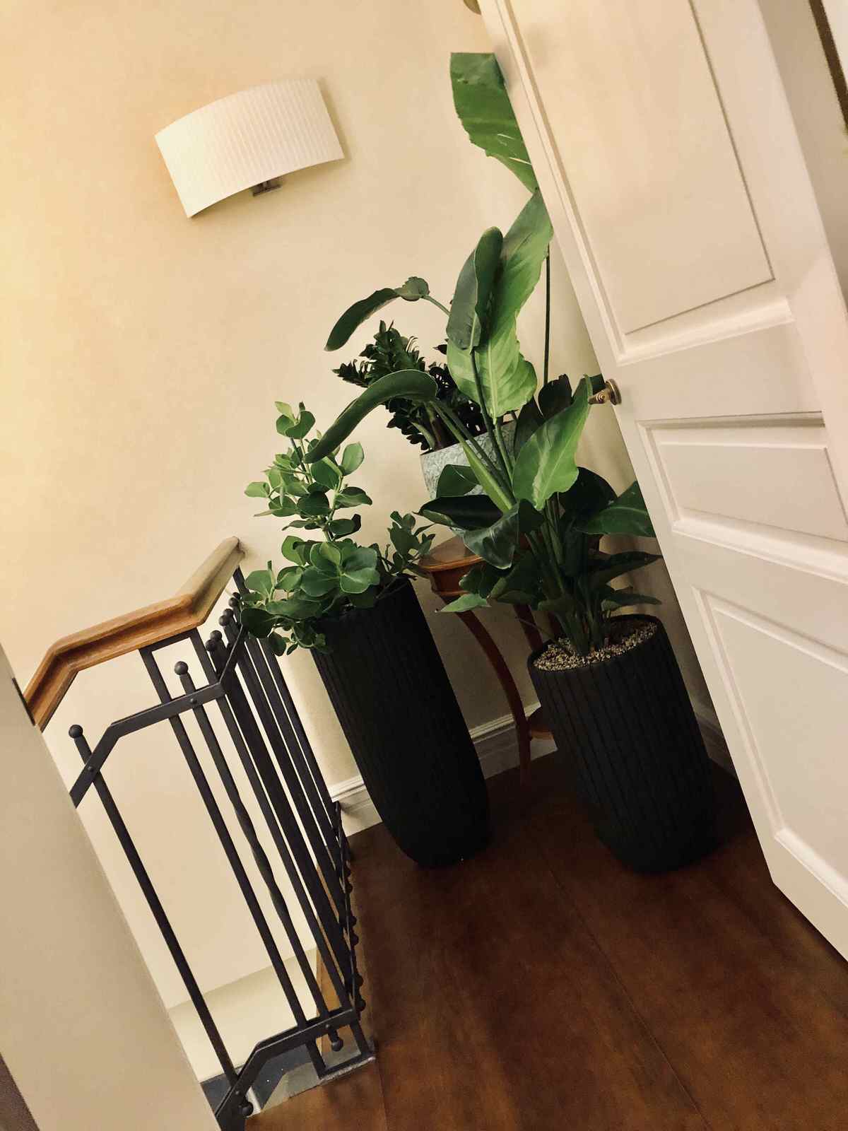 Пент Хаус 240 кв.м.