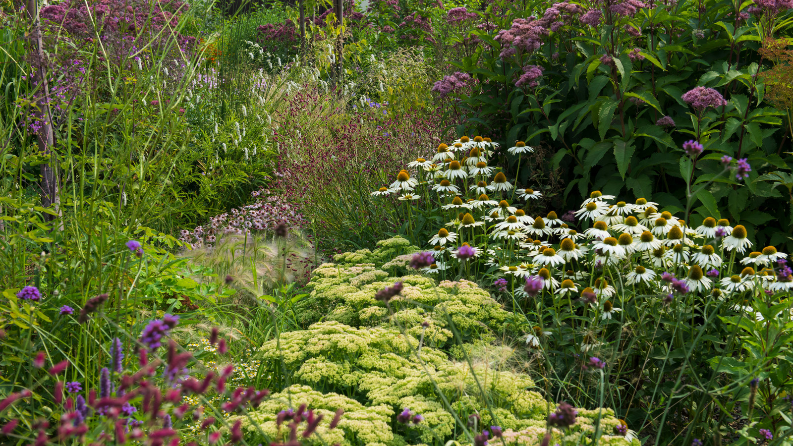 Цветник в  природном стиле  (" New Perennials"  или "Новая волна")