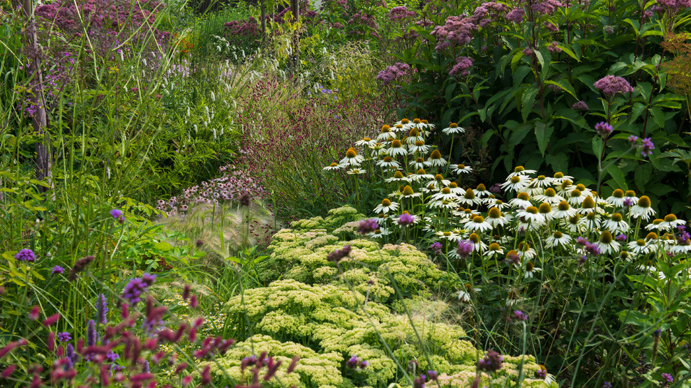 Цветник в  природном стиле  (" New Perennials"  или "Новая волна")