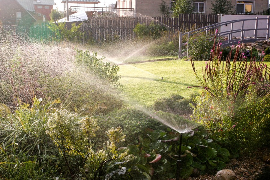 Полив в саду. Подмосковье.