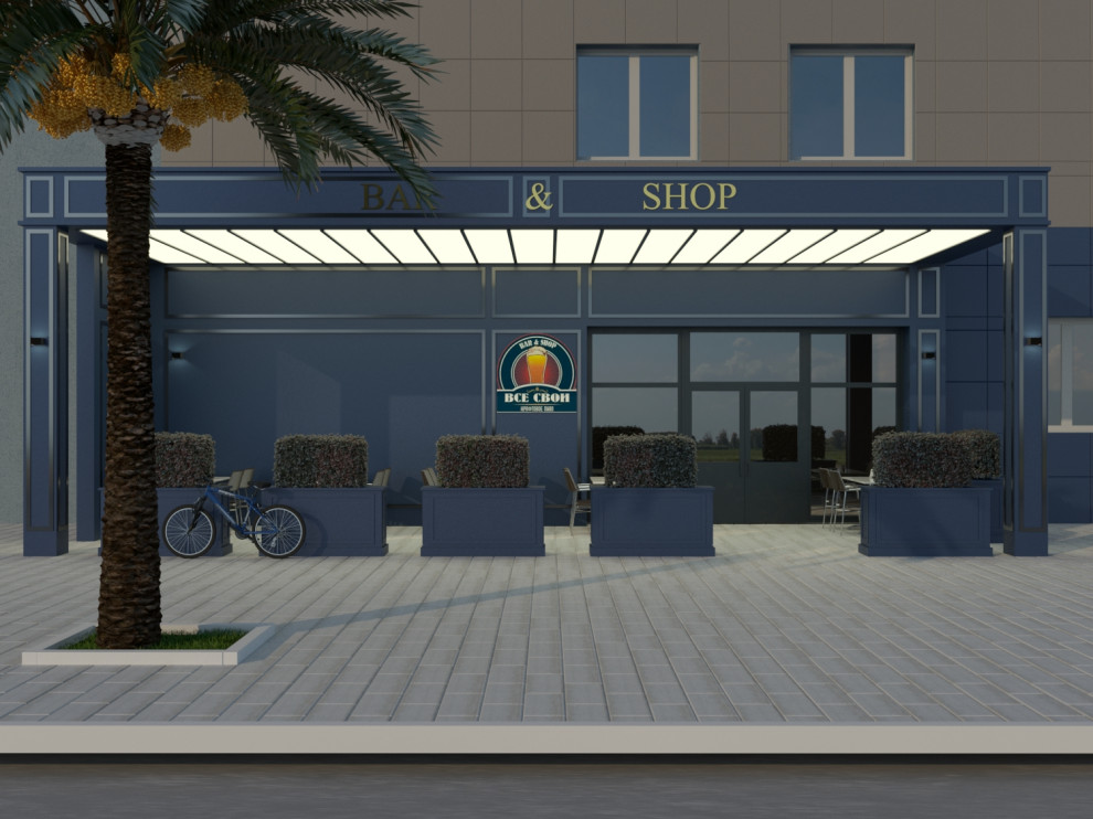 Обложка проекта: Концептуальное решение входной группы общественного заведения