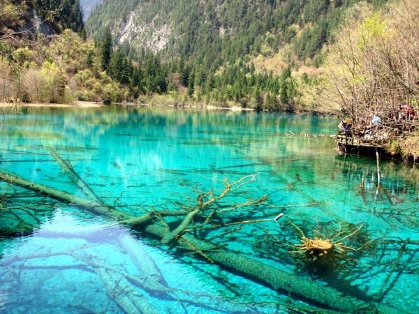 Обложка проекта: Кухня-гостиная «Бирюзовая долина»