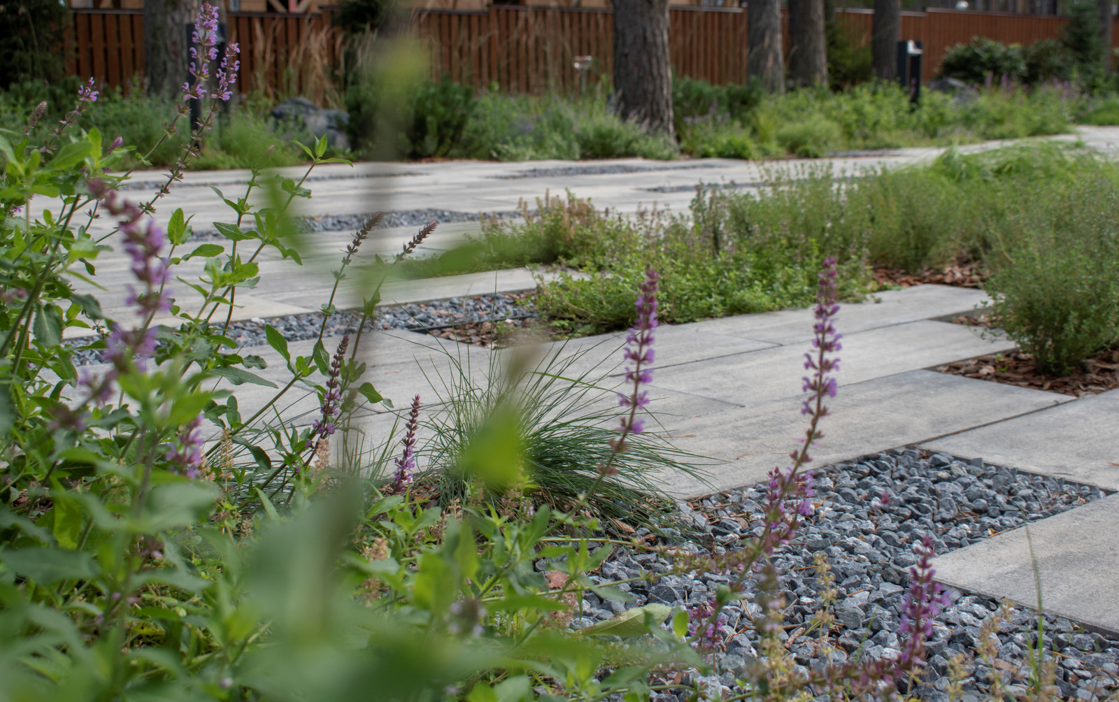 Проект "Волшебное озеро"