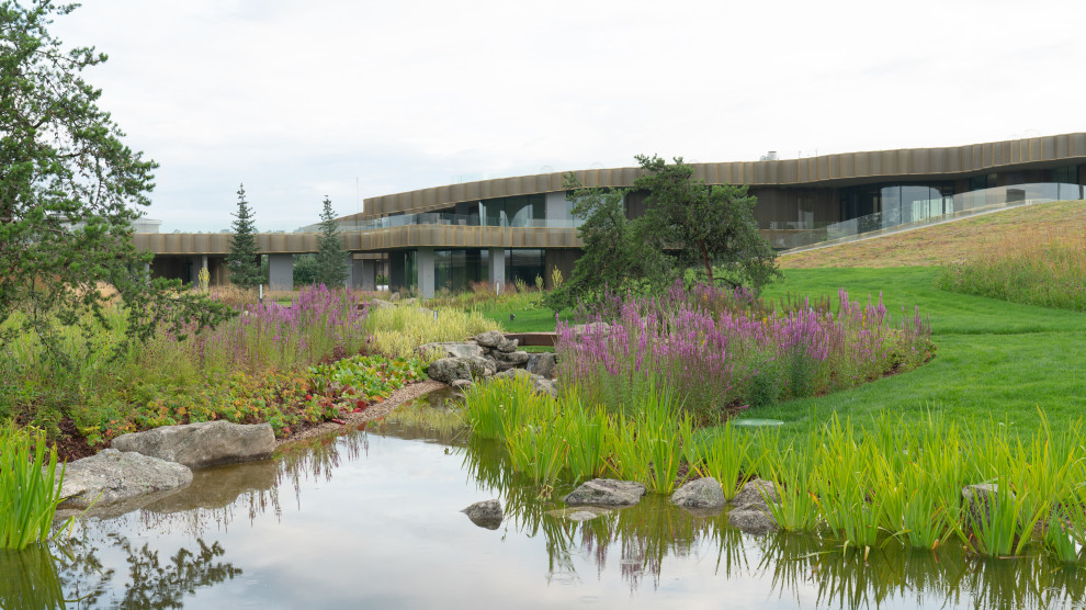 Природный сад. Жуковка XXI век. 2017-2018 гг.