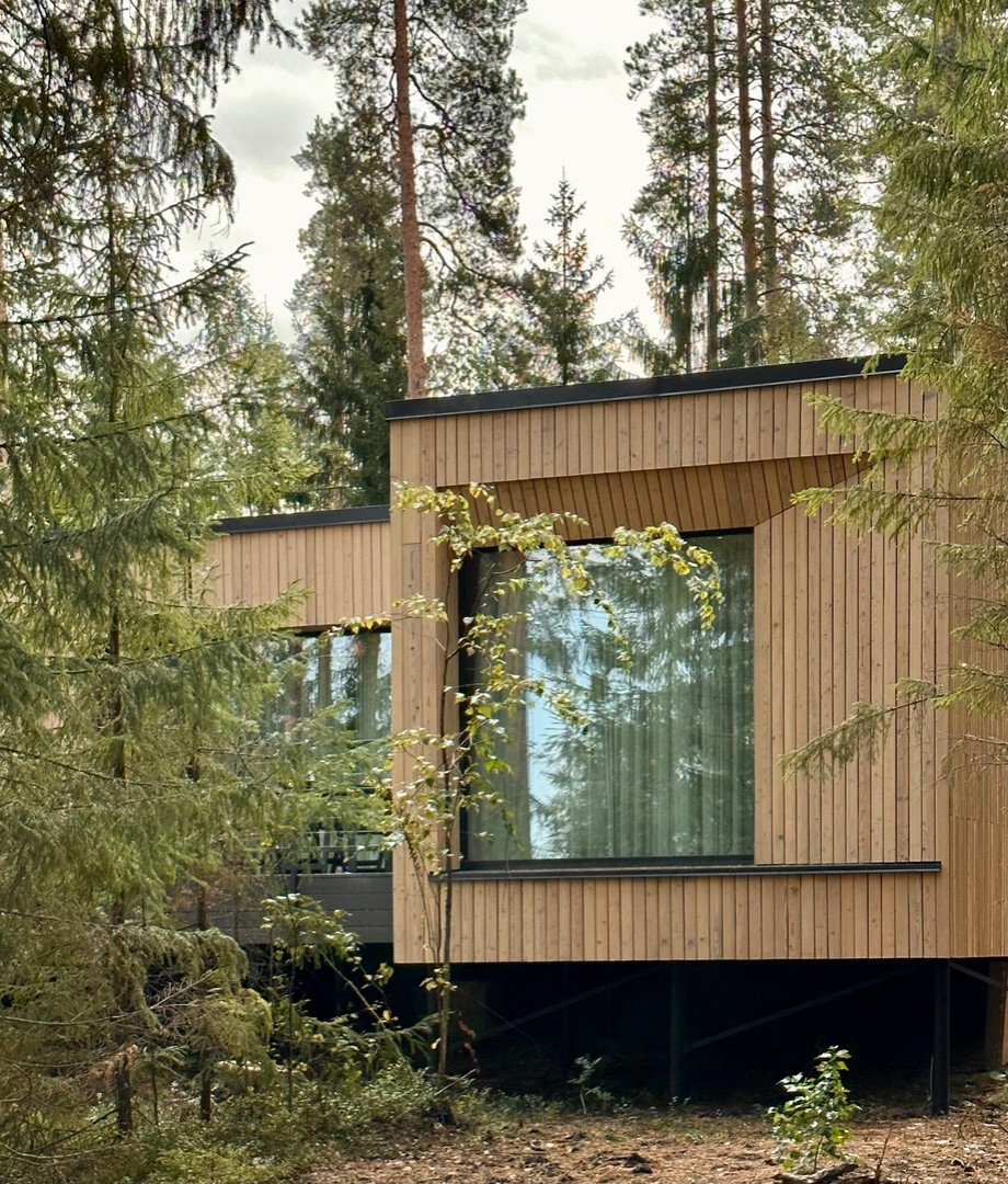 Лесная Рапсодия. Циркуль