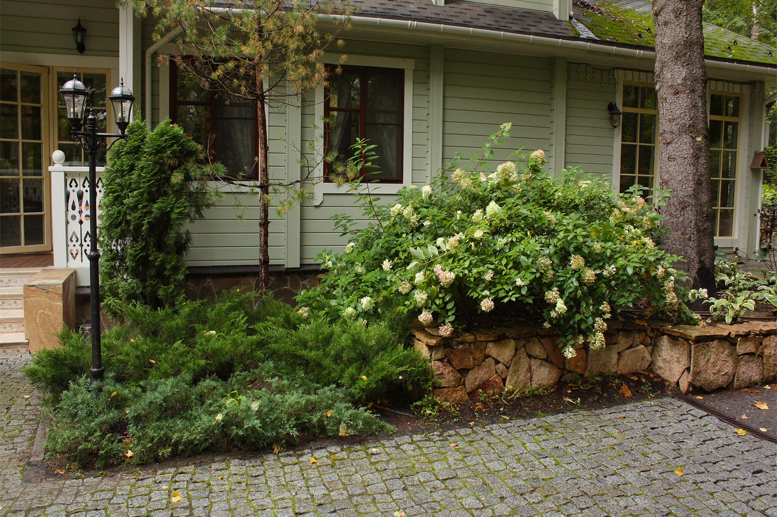 Обложка альбома: Забор