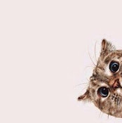 Екатерина Кондратьева Кондратьева