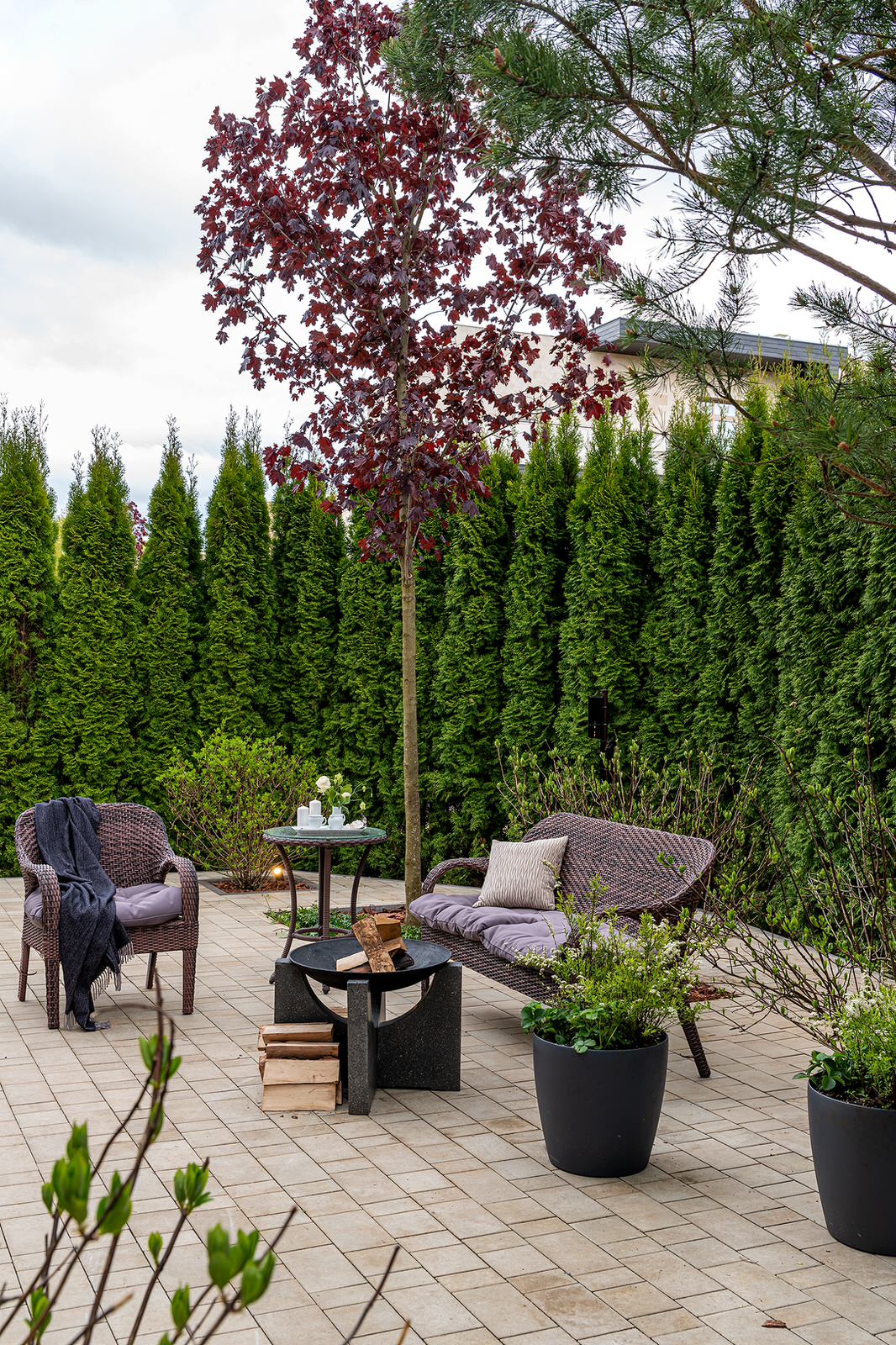 "На Дачу" к Татьяне Веденеевой