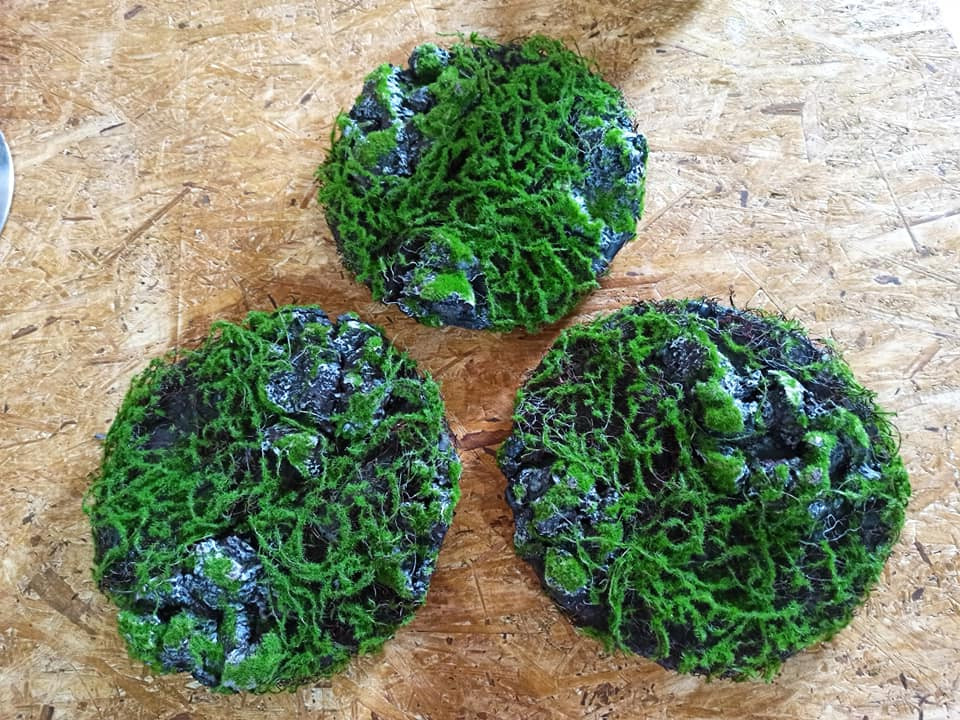 Обложка проекта: Круглые панно для гостевого дома