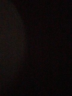 Дмитрий Шулико