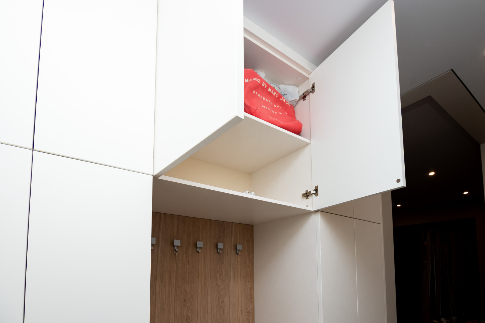 Гардероб и шкаф в прихожую в минималистичном стиле