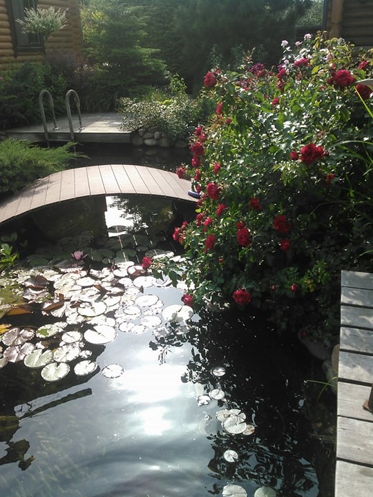 Ландшафт в пейзажном стиле с плавательным прудом 12 соток