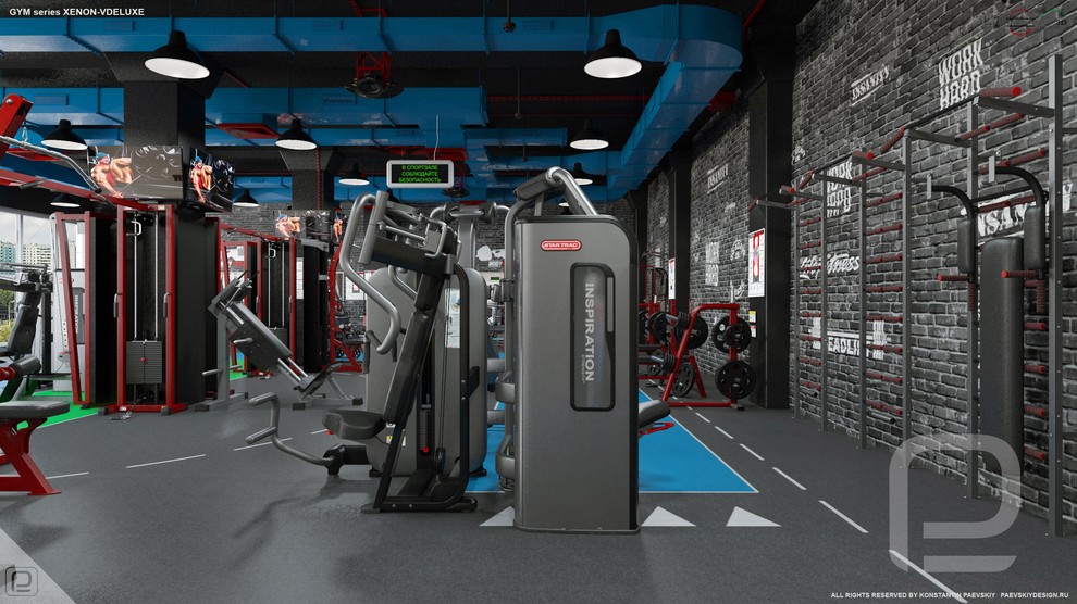 Тренажерный зал GYM series XENON-VDELUXE