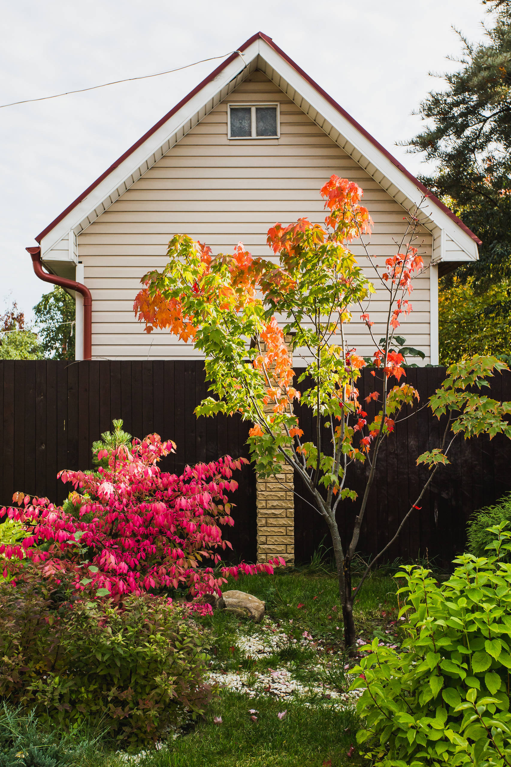 В гостях: Экодом в центре Новой Москвы взамен квартиры