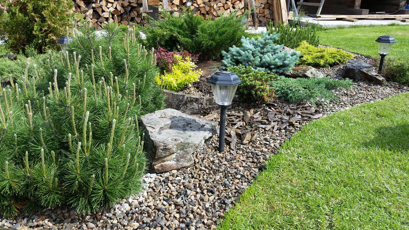 Газоны Сибири