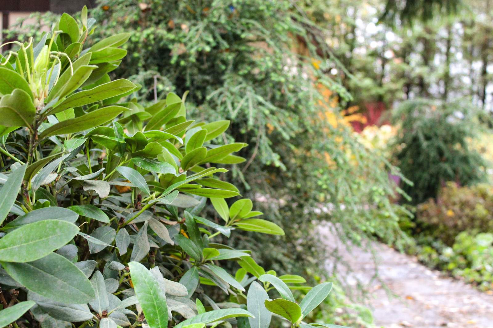 Генеральские дачи