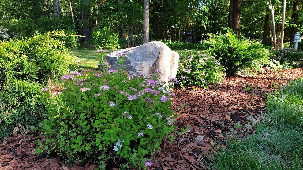 Теневой сад в Новогорске.