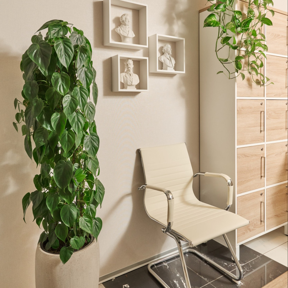 Озеленение офиса Endo Stars