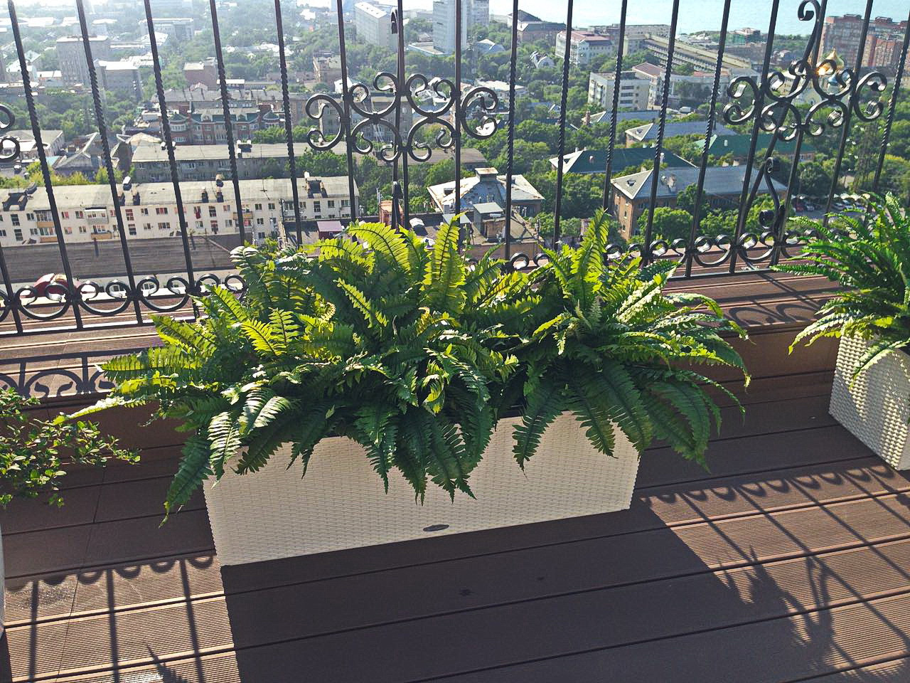 Озеленение частной крыши