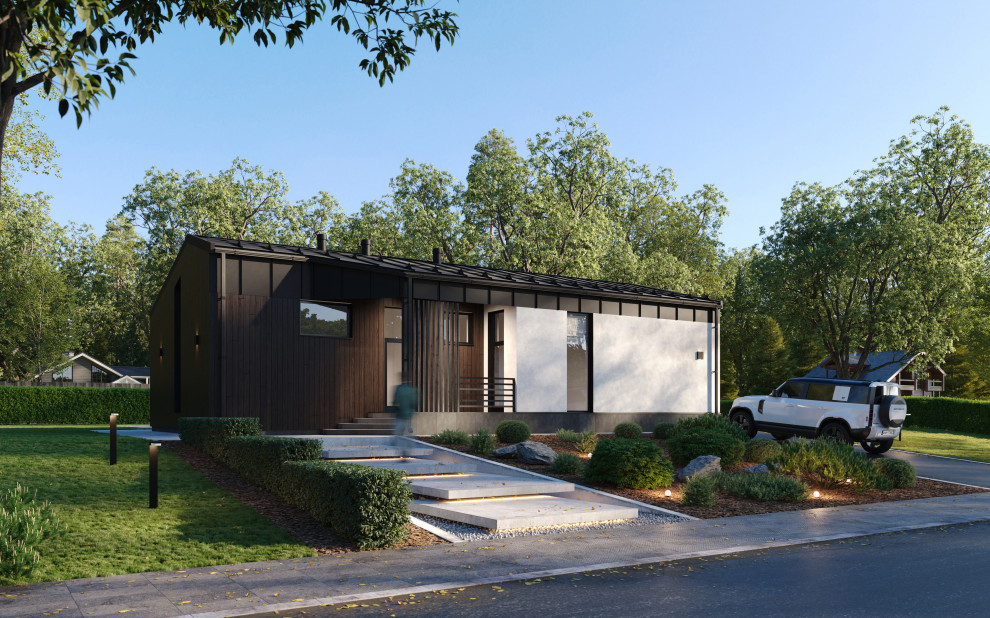 Светлана Городецкая